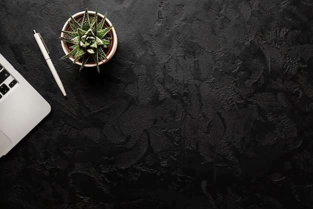 Planta verde em uma panela, caneta e laptop prata moderno em fundo escuro.