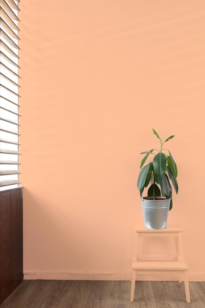 Planta verde en un jarrón contra un fondo de color melocotón