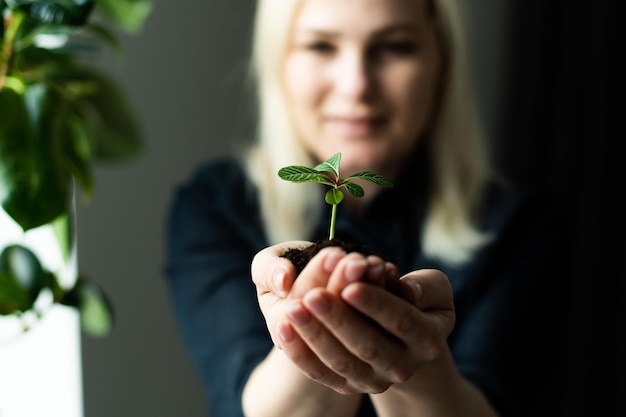 Planta verde en la mano, tierra de brotes.