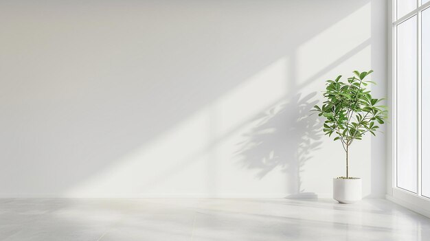 Foto una planta verde en una olla blanca se sienta en una mesa blanca