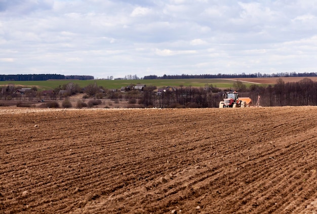 Plantación de cultivos de cereales.