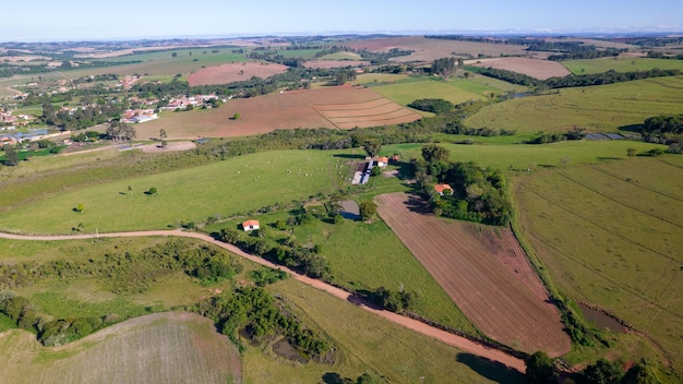 plantación de soja en Brasil. Campo verde con soja cultivada. Vista aérea