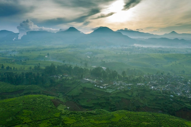 Plantación de té y pueblo en la mañana de niebla