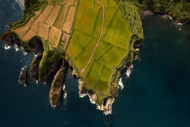 Plantaciones agrícolas en la costa de la isla.