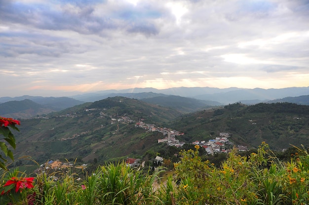 Plantaciones de té en la montaña por la mañana Tailandia