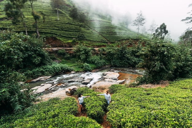 Plantações de chá verde nas montanhas. Homem e mulher viajando pela Ásia. Homem e mulher viajando no Sri Lanka. Viagem de lua de mel. Plantações de chá no Sri Lanka. Casal apaixonado. Viajantes na ásia