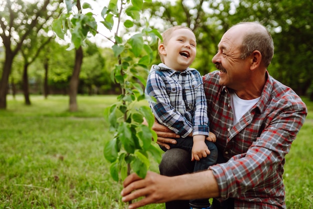 Foto plantando a árvore genealógica menino ajudando seu avô a plantar árvores enquanto trabalhavam juntos