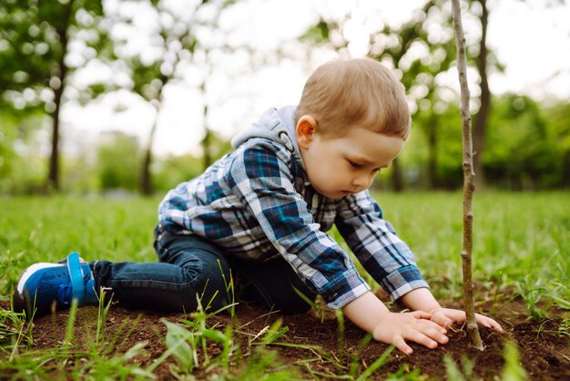 Plantando un árbol genealógico Niño ayudando a su abuelo a plantar el árbol mientras trabajan juntos