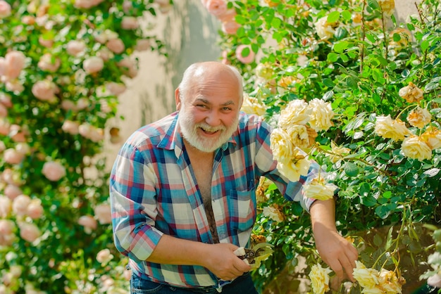 Plantando flores Avô e neto no belo jardim Geração familiar e conceito de relações Garotinho e pai sobre fundo de rosas
