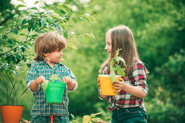 Plantando flores em um vaso, crianças lindas trabalhando e brincando no lindo jardim em que as crianças pequenas trabalham ...