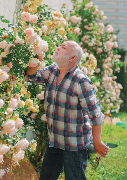 Plantando flores Homem sênior jardinagem no jardim Hobbies e lazer Cultivando plantas