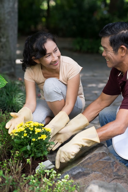 Plantando flores