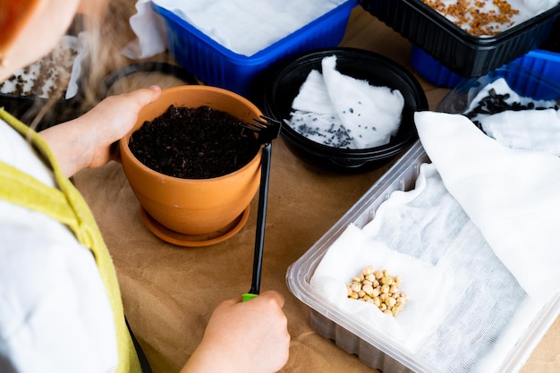 Plantando micro verdura em casa sementes e mudas em uma foto vertical de mesa de madeira