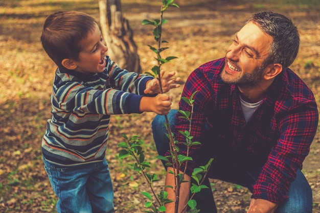 Plantar un árbol genealógico. Feliz joven plantar un árbol mientras su pequeño hijo lo ayuda