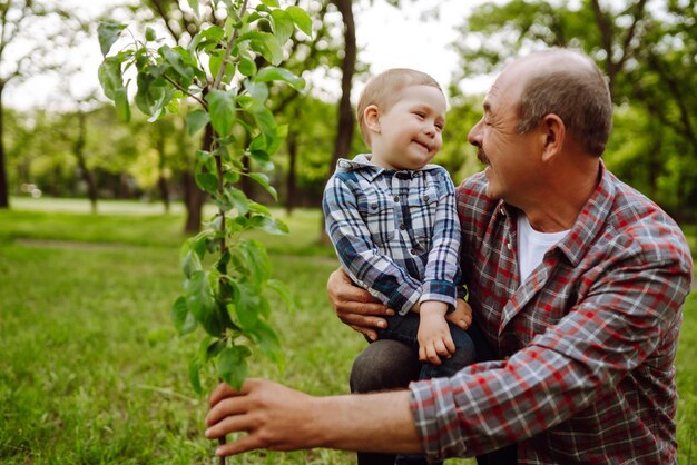 Plantar un árbol genealógico Un niño ayudando a su abuelo a plantar un árbol mientras trabajan juntos