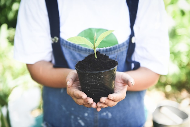 Plantar un árbol