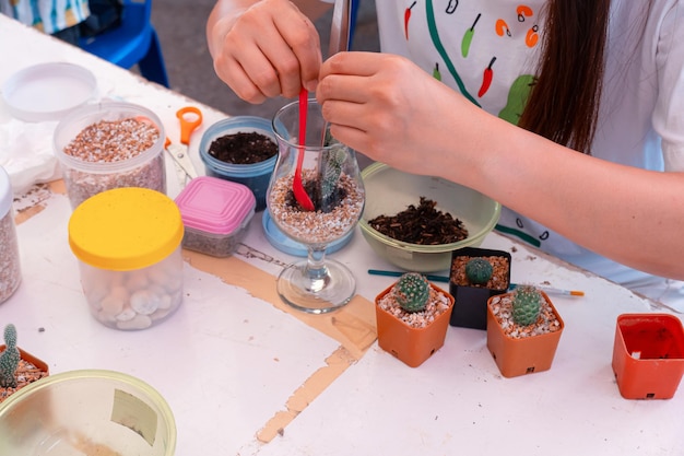 Plantar árboles, arreglar un terrario para la decoración del hogar. Horticultura y jardinería en vacaciones de verano con familiares y amigos. Concepto del Día Mundial del Medio Ambiente