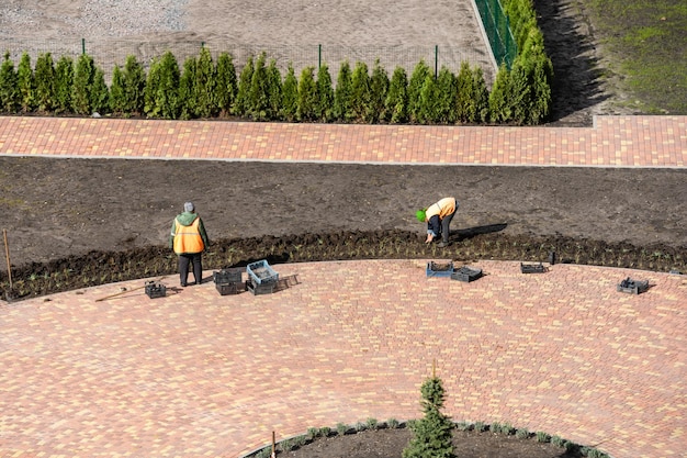 Plantar árboles en otoño en el parque de la ciudad. Usar estaca para ayudarlo a crecer.