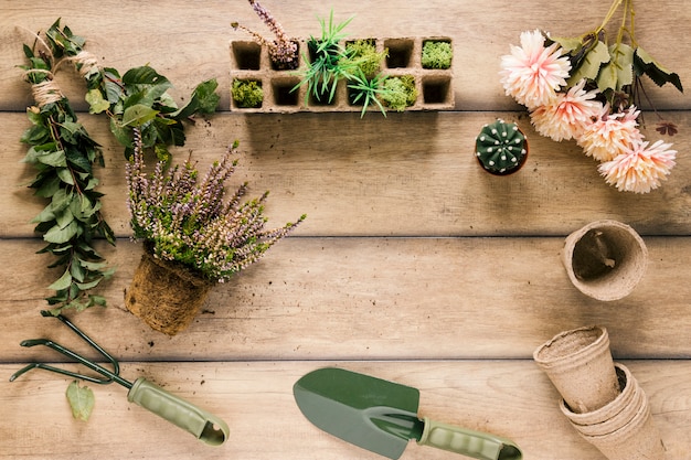 Foto plantar; bandeja de turfa; flor; pote de turfa; plantas suculentas e equipamentos de jardinagem na mesa marrom