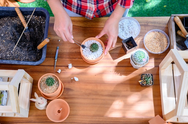 Foto plantar cactus y cultivar árboles. actividad recreativa y de jardinería doméstica en el jardín botánico.