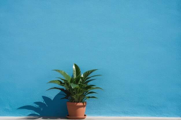 Plantar contra un fondo de pared azul con espacio para copiar