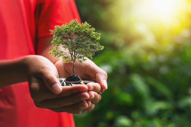 Plantar cultivos en un montón de monedas a mano Conceptos de inversión en los negocios