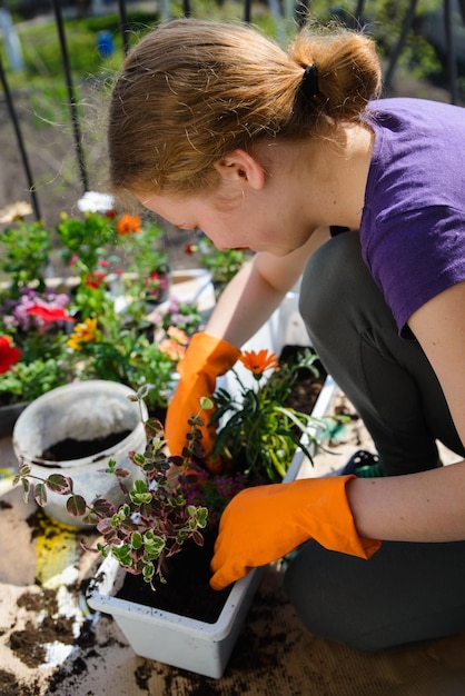 Plantar flores como hobby para jovens