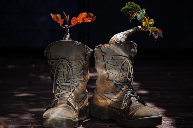 Foto plantar las plantas en las botas