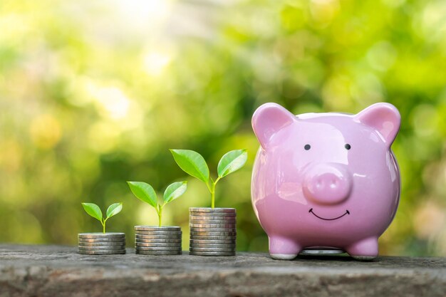 Plantar uma planta na moeda é um conceito financeiro, investir e gerar economias para o futuro.