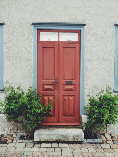 Foto plantas à porta da casa