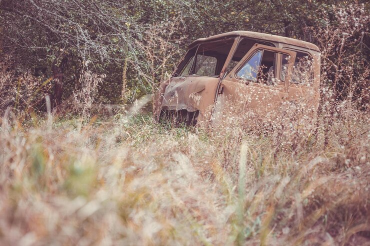 Foto plantas abandonadas no campo