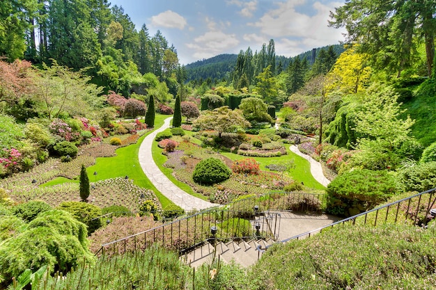 Plantas y árboles junto al lago contra el cielo