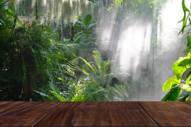 Plantas y árboles en macetas junto a una valla de madera