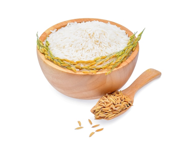 Plantas de arroz con arroz blanco y arroz sin moler aislado sobre fondo blanco.