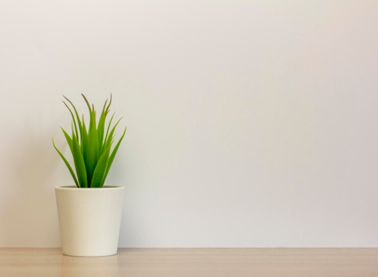 Plantas artificiais de interior, várias suculentas em vasos. Suculentas em mini-vasinhos brancos. Idéias para decoração de casa. Cópia do espaço.