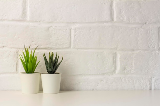 Plantas artificiales de interior, varias suculentas en macetas. Suculentas en mini-macetas blancas. Ideas para la decoración del hogar. Copia del espacio.