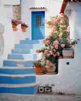 Foto plantas azules cerca de las casas y las escaleras