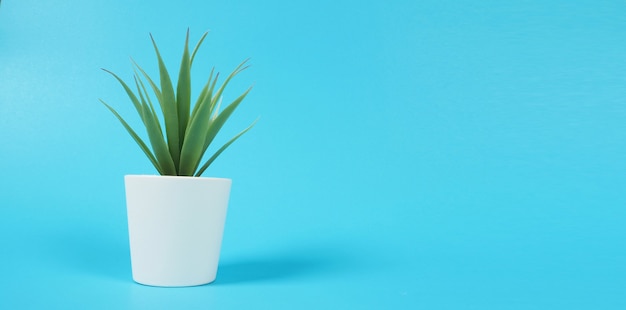 Plantas de cactus artificiales o plástico o árbol falso sobre fondo azul está aislado.