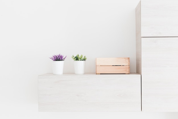 Foto plantas y caja cerca de la nevera