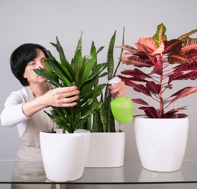 Foto plantas caseiras em vasos brancos sobre a mesa