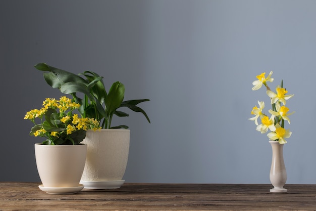 Plantas caseiras em vasos na mesa de madeira na superfície escura