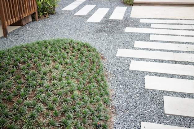 Plantas caseras en arquitectura de madera.