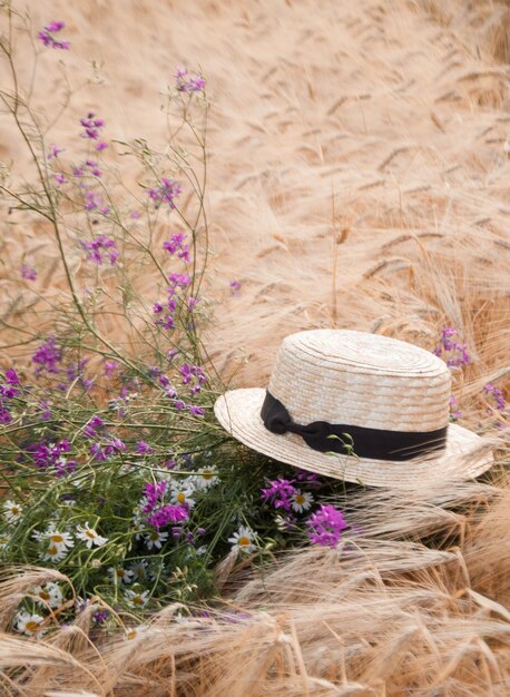 Foto plantas com flores roxas no campo