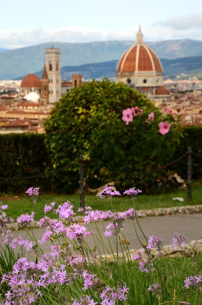 Foto plantas com flores roxas por edifício na cidade