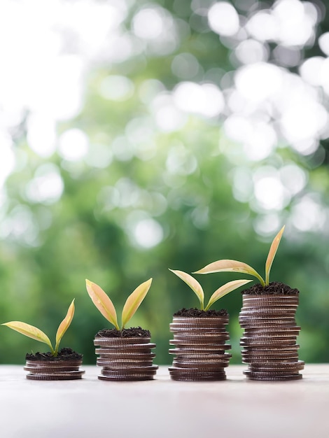 Foto plantas crescendo em uma pilha de moedas o conceito de economizar dinheiro investimento financeiro e crescimento de negócios