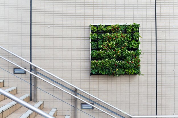 Plantas cuadradas y flores en la pared.