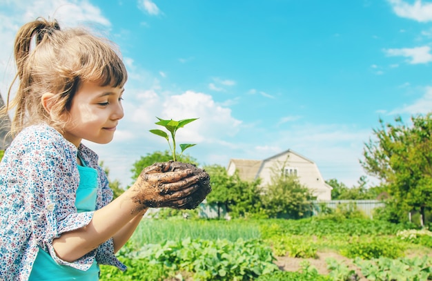 Plantas da criança e plantas molhando no jardim.