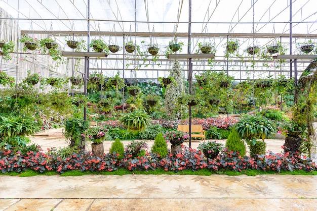 Plantas de Estufa e Show de Flores