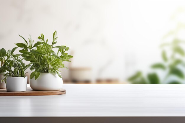 Plantas de jardim doméstico espalhadas no balcão em casa e espaço para texto IA geradora