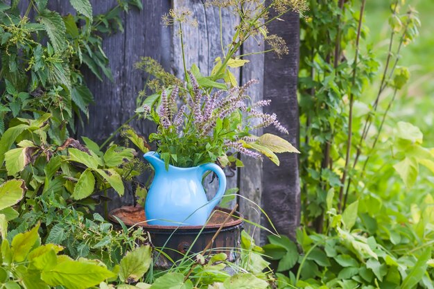 Plantas de menta orgânicas frescas para chá de ervas Ervas médicas Buquê de flores médicas em um jarro de cerâmica azul ao ar livre